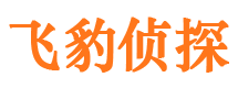 光山侦探公司